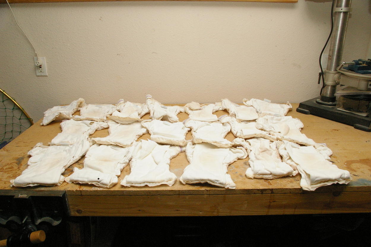 Bumkins cloth diapers
19 medium sized
Inside view
$95 for the set