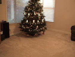 Tree decorated