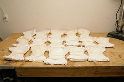 Bumpkins cloth diapers
16 small sized
Outside view