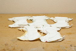 Kushie cloth diapers
5 small sized
$10 for the set