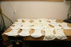Fuzzi Bunz Diapers
16 Large sized - Has some staining
Outside view