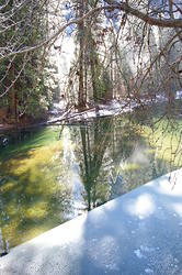 Light shining through trees onto half frozen Merced river